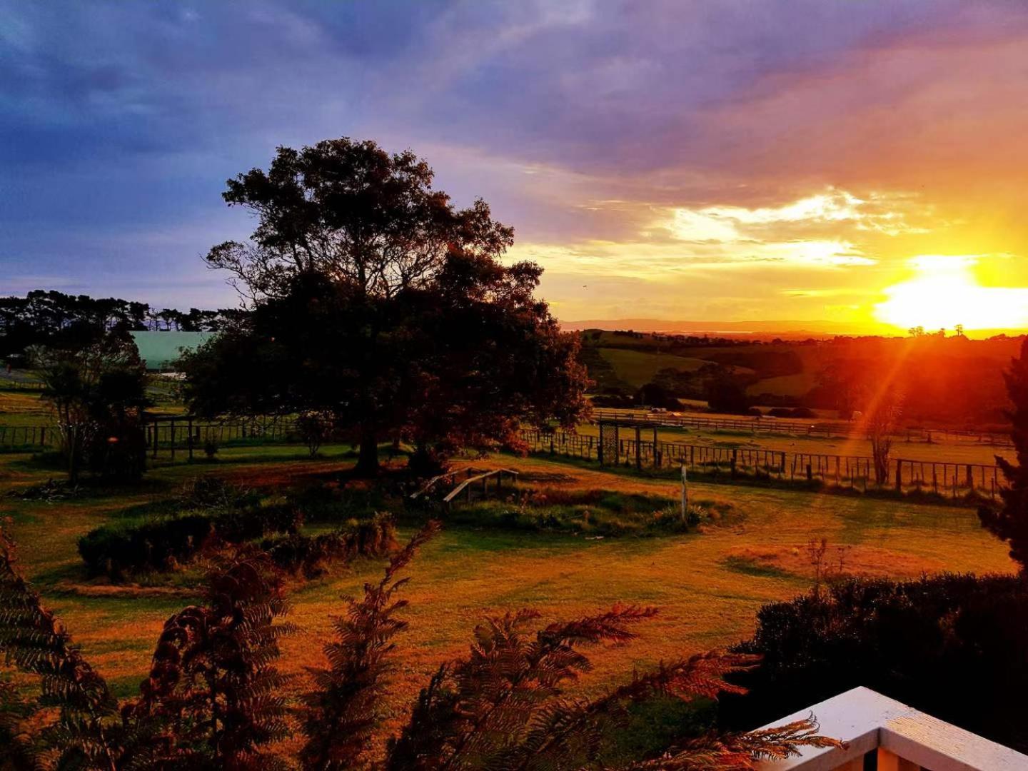 Holiday House In Totara Park โอ๊คแลนด์ ภายนอก รูปภาพ